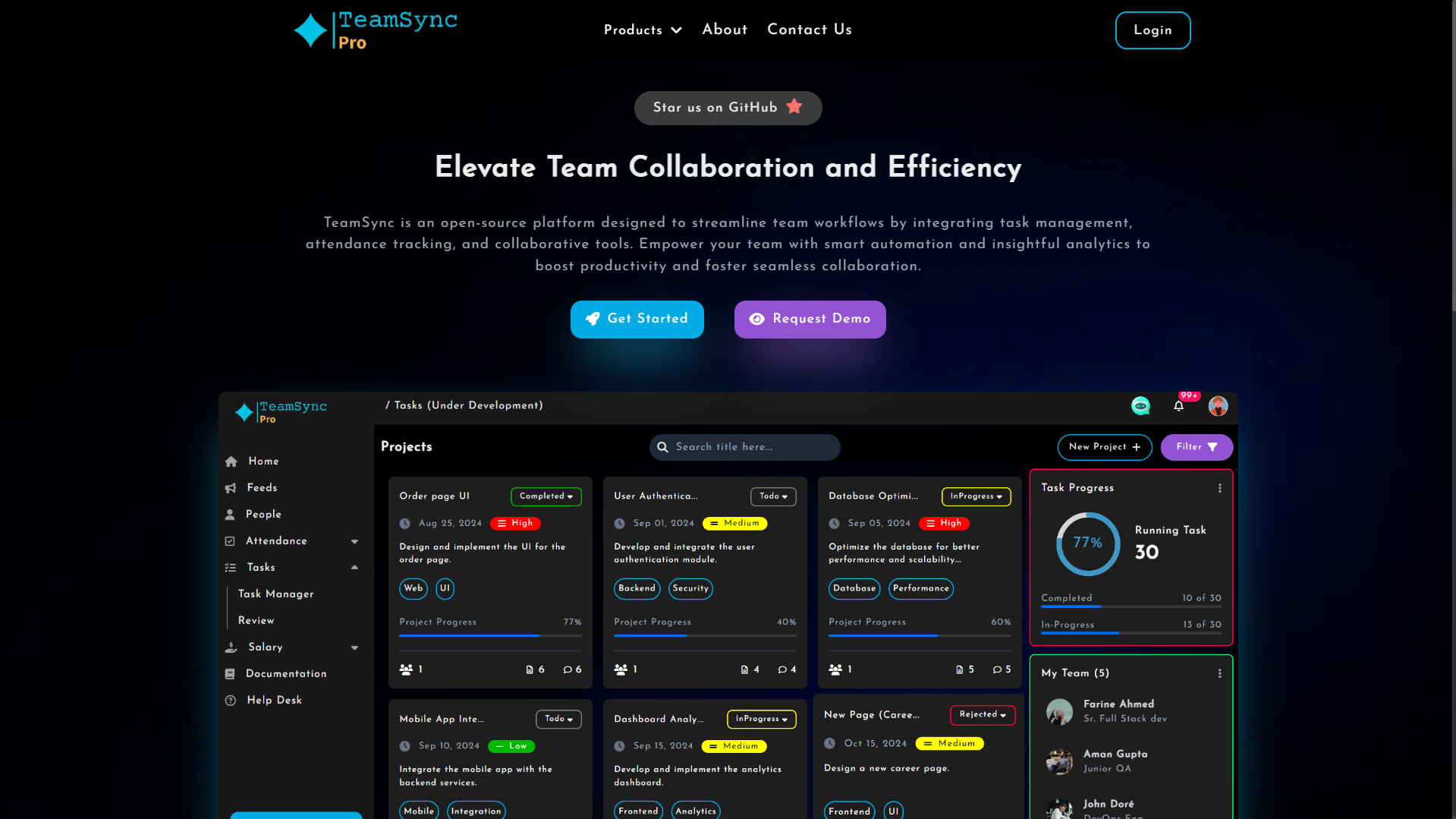 TeamSync Pro